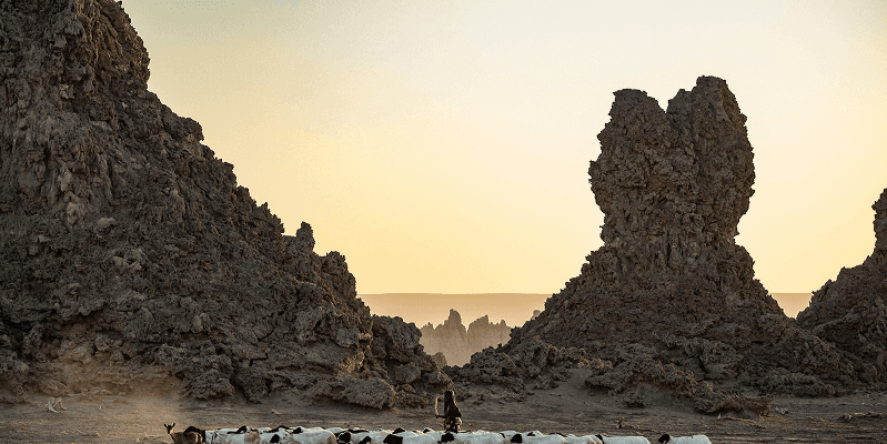 Djibouti eVisa Complete Guide 2025: Requirements, Application & Travel Tips