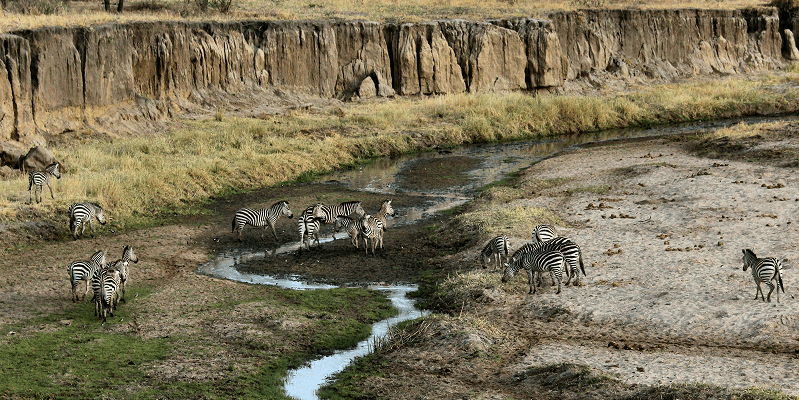 Tanzania eVisa Complete Guide 2025: Requirements, Application & Travel Tips