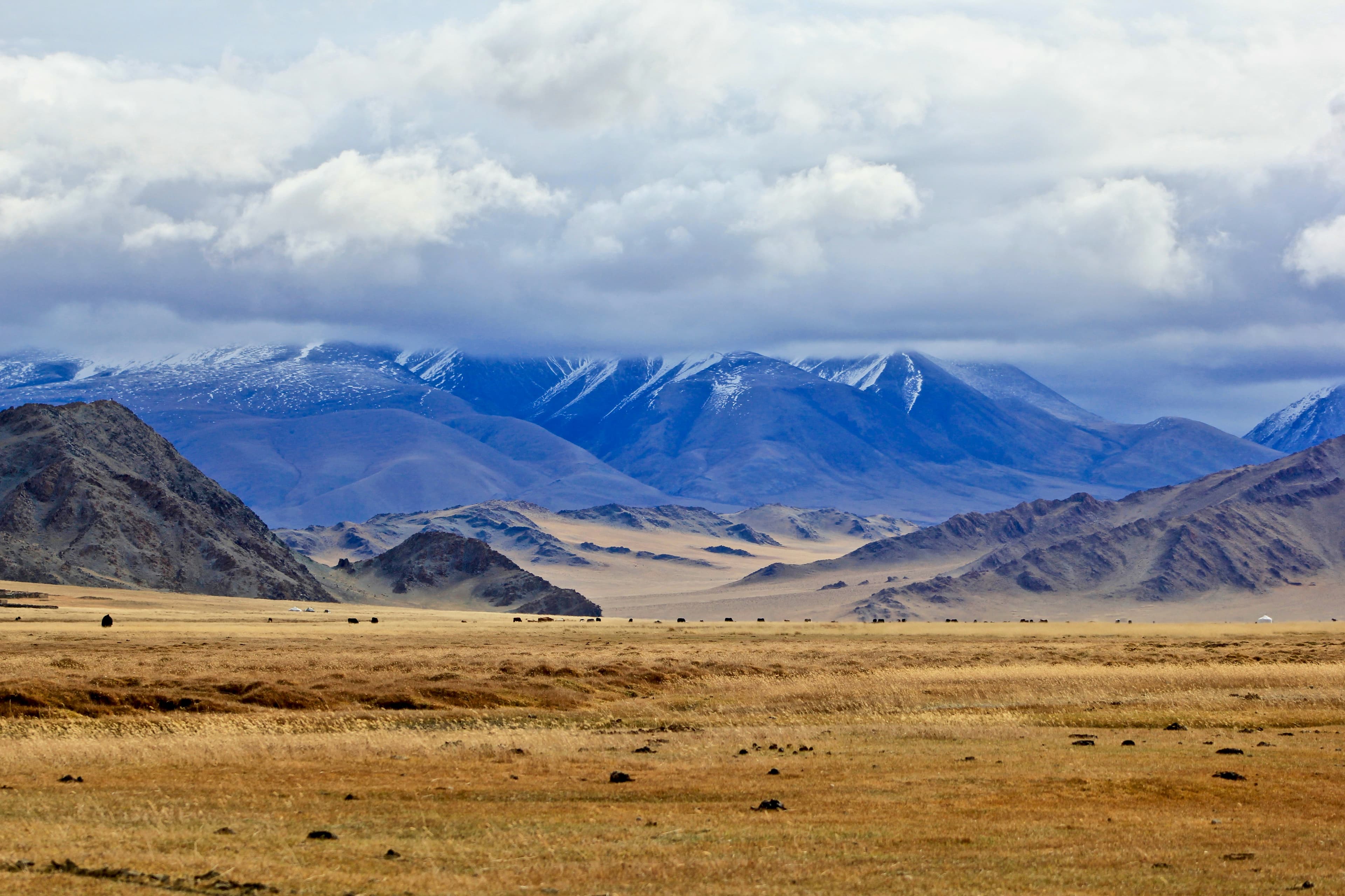 Travel to Mongolia